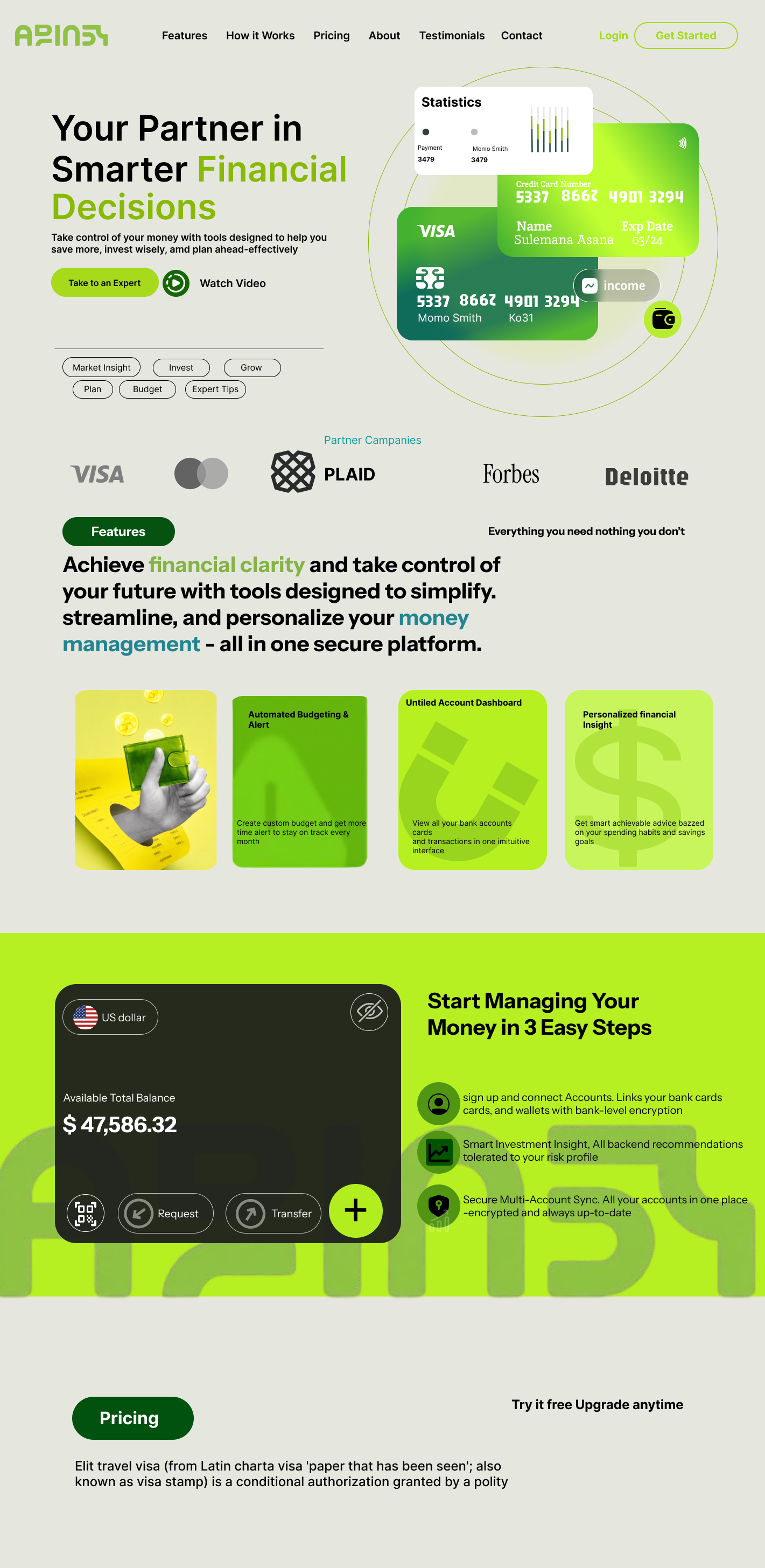 Visa Card